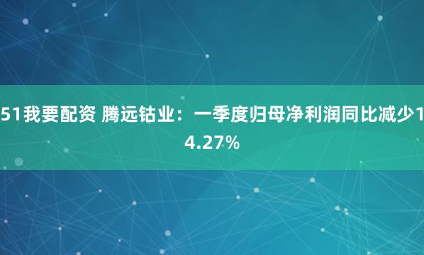 51我要配资 腾远钴业：一季度归母净利润同比减少14.27%